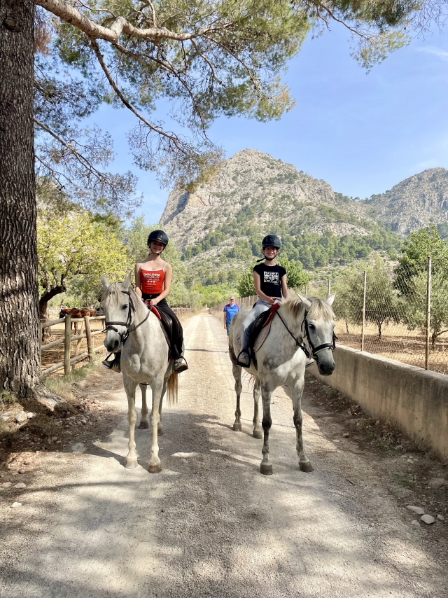 Opinión de Reiner sobre Excursión en la Sierra Tramontana Mallorca 2 horas