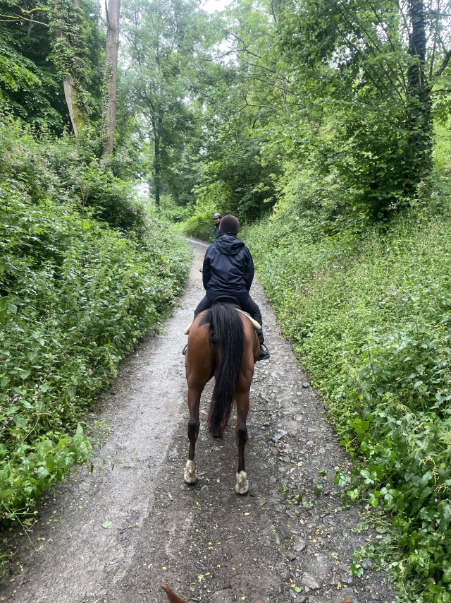 Opinión de Laura sobre Cabalgamarra por la vía verde Muskiz Artzentales