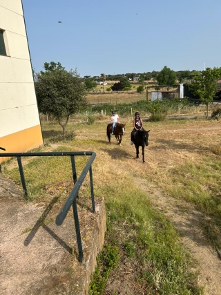 res_o-64530-rutas-a-caballo_de_luisa-biagetti_17489999793223.jpg