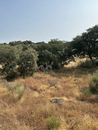 res_o-64530-rutas-a-caballo_de_luisa-biagetti_1748999984380.jpg