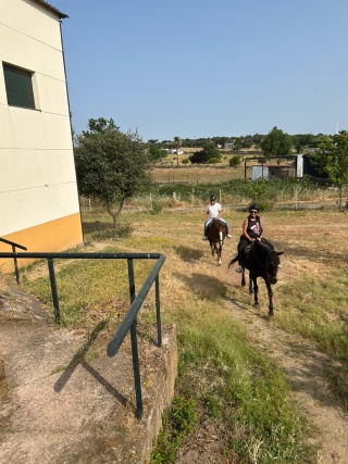 res_o-64530-rutas-a-caballo_de_luisa-biagetti_17489999897567.jpg