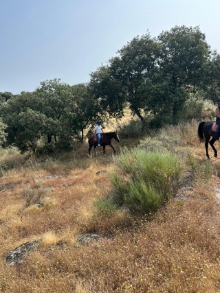 res_o-64530-rutas-a-caballo_de_luisa-biagetti_17489999918464.jpg