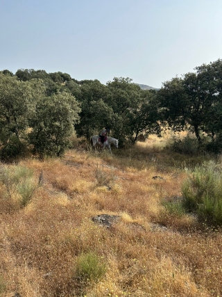 res_o-64530-rutas-a-caballo_de_luisa-biagetti_17489999944514.jpg