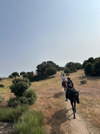 res_o-64530-rutas-a-caballo_de_luisa-biagetti_17490000172893.jpg