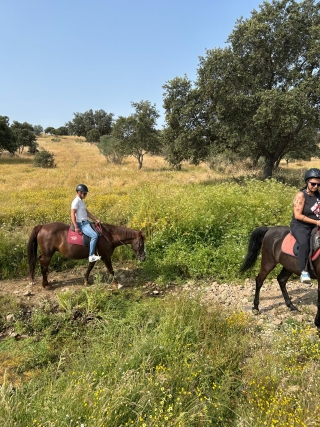 res_o-64530-rutas-a-caballo_de_luisa-biagetti_17490000476076.jpg