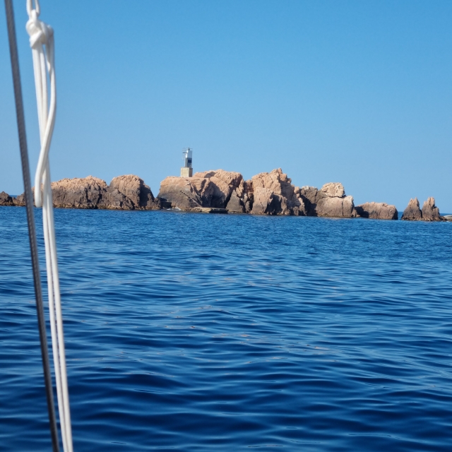 Opinión de Jerry sobre Paseo barco + camarra camarones + vino, Port Palamós, 3h