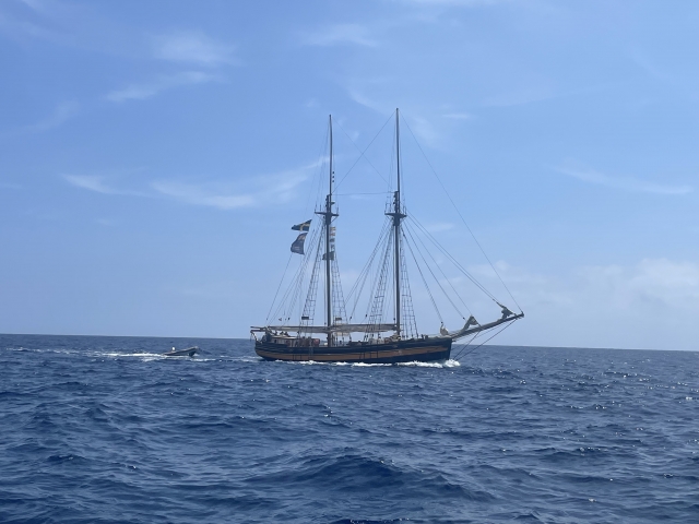 Opinión de Laura sobre Paseo en barco a Islas Hormigas. A partir 10 años
