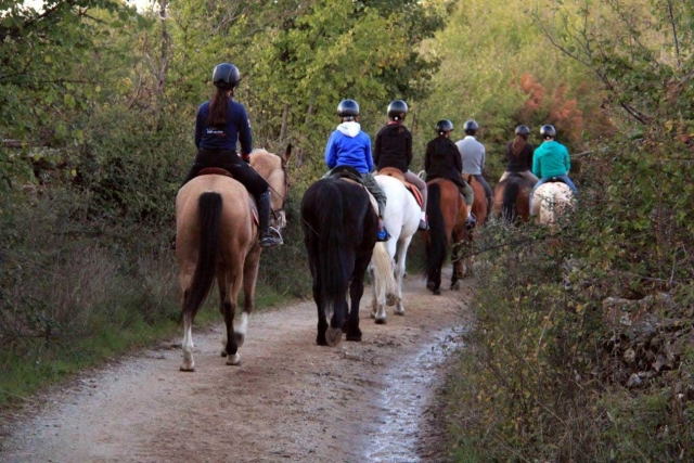 Opinión de Deborah sobre Cabalgamarra económica en Collserola 1h
