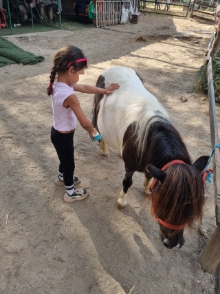res_o-64809-rutas-a-caballo_de_alena-dorsch_17519149473490.jpg
