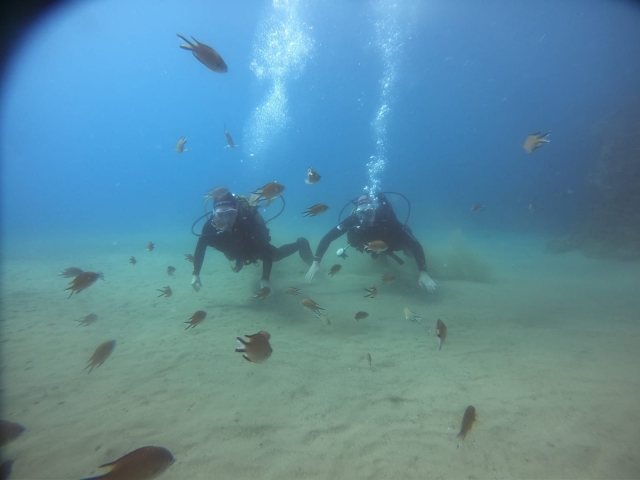 Opinión de André sobre Bautismo de buceo en Tías Lanzarote