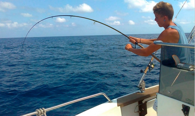 Llobarrete Pesca