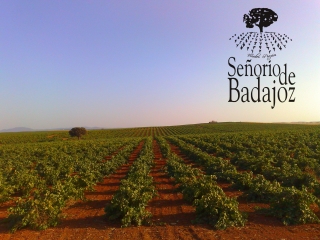 Bodegas Cosecha Extremeña