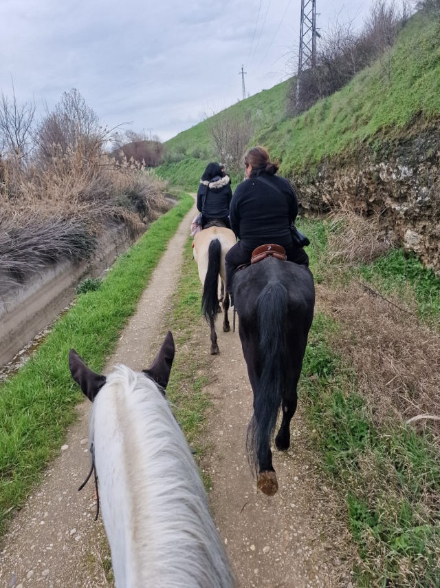 Opinión de Raul sobre Paseo a caballo por Aranjuez 1 hora y 30 minutos