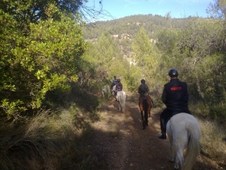 Centre Hípic Talamanca Asepcab