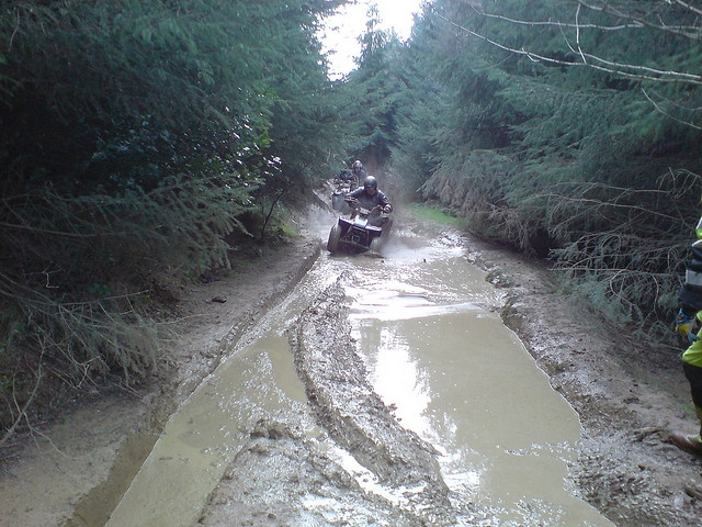 Warnerbuggy Quads