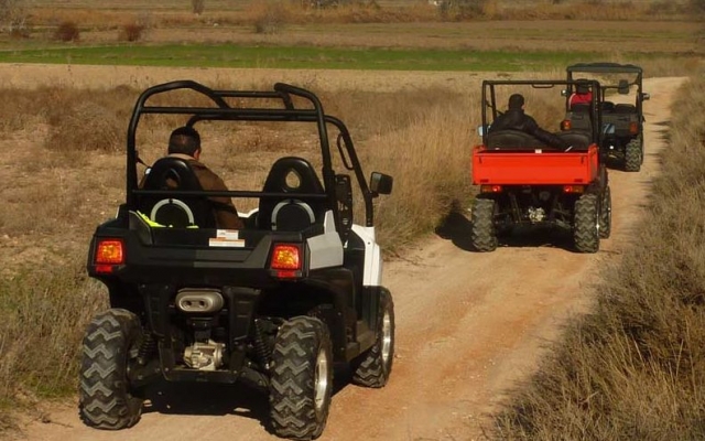 El Circuito de Montoya Buggies