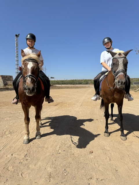 Opinión de Ayoub sobre Paseo a caballo en Cartagena con fotos y vídeo 1 h