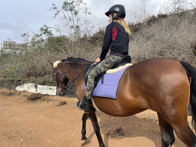 Opinión de Liliya sobre Paseo a caballo en Cartagena con fotos y vídeo 1 h