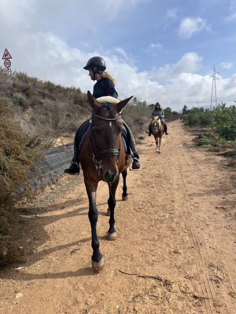 Opinión de Natalie sobre Paseo a caballo en Cartagena con fotos y vídeo 1 h