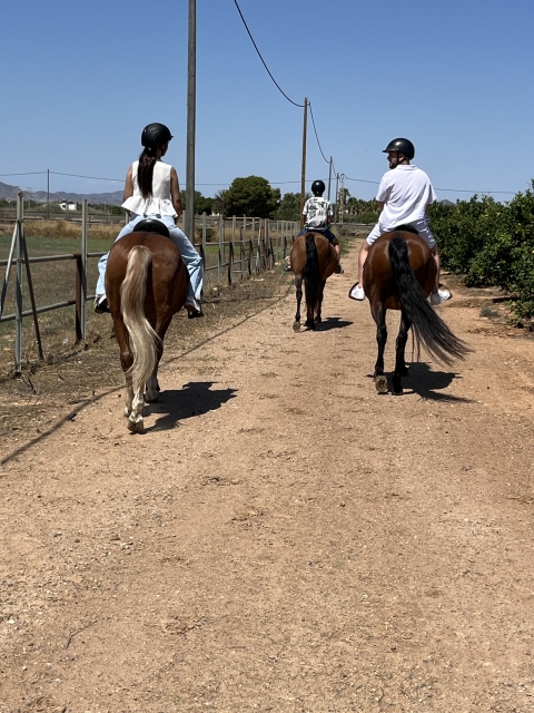 Opinión de Marta sobre Paseo a caballo en Cartagena con fotos y vídeo 1 h