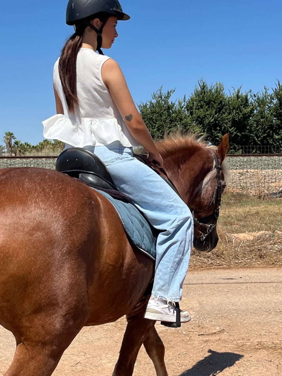res_o-65301-rutas-a-caballo_de_ana-hernandez_48bd9f72-d062-4f9d-a796-858be5329c1b_17550087787106.jpeg res_o-65301-rutas-a-caballo_de_ana-hernandez_48bd9f72-d062-4f9d-a796-858be5329c1b_17550087787106.jpeg