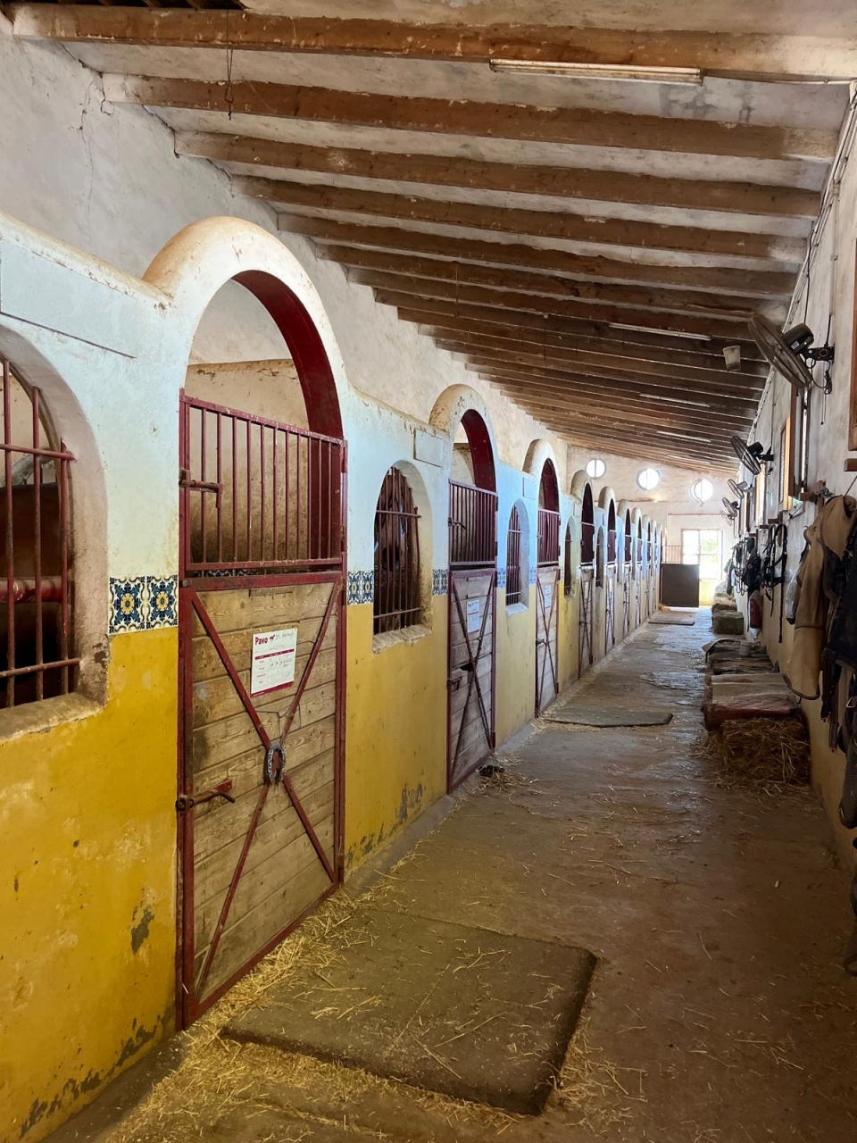 res_o-65301-rutas-a-caballo_de_ana-hernandez_570402b7-1773-451d-8c16-f0f84f7693c4_17550087877373.jpeg res_o-65301-rutas-a-caballo_de_ana-hernandez_570402b7-1773-451d-8c16-f0f84f7693c4_17550087877373.jpeg