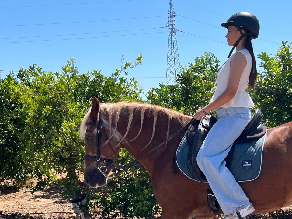 res_o-65301-rutas-a-caballo_de_ana-hernandez_599d56d9-2955-43f2-87f7-70cac1d84629_17550087842778.jpeg res_o-65301-rutas-a-caballo_de_ana-hernandez_599d56d9-2955-43f2-87f7-70cac1d84629_17550087842778.jpeg