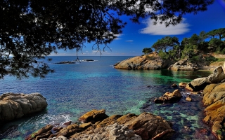 Barcelona Day Tours