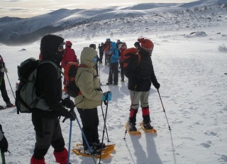 Desestrek Raquetas de Nieve