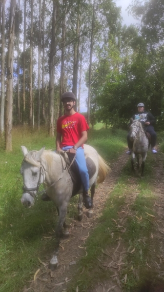 res_o-64824-rutas-a-caballo_de_miguel_17520617086112.jpeg