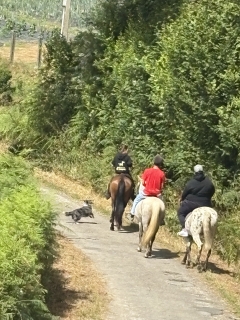 res_o-64824-rutas-a-caballo_de_miguel_17520617216086.jpeg