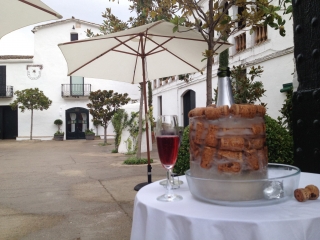 Bodegas Ca n'Estella