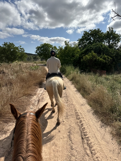 Opinión de Leyre sobre Salida a caballo parejas embalse la Grajera 2h
