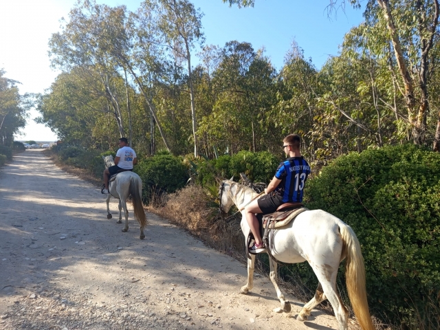 Opinión de Jaime sobre Cabalgamarra marismas de Chiclana, 1h 30mins