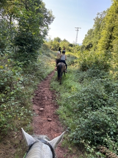 res_o-65631-rutas-a-caballo_de_jordi-paya_img-7839_17567618002638.jpeg