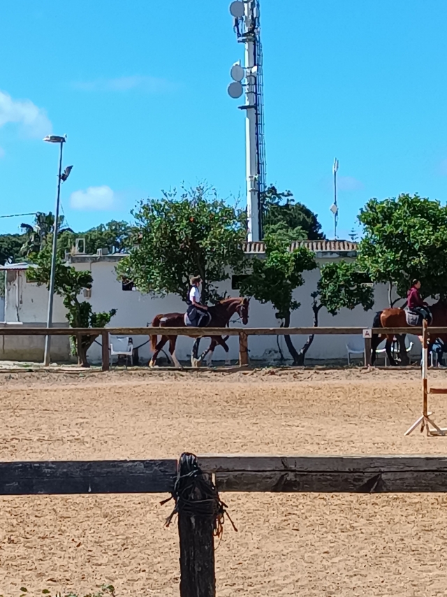 Opinión de Fernando sobre Paseo a caballo por la playa de la Barrosa 2 horas