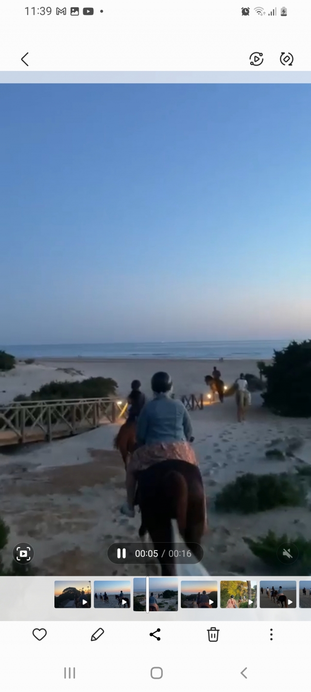Opinión de Alba sobre Paseo a caballo por la playa de la Barrosa 2 horas