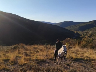 Caballos del Pirineo