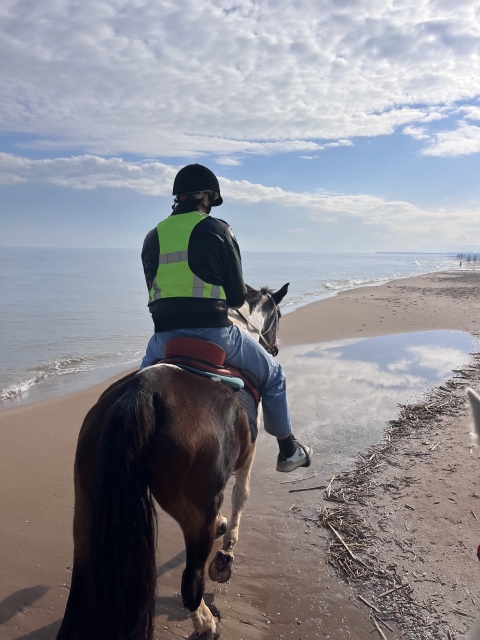 Opinión de Xavier sobre Paseo a caballo por la playa de Xeraco, 2 horas