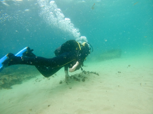 Opinión de PABLO sobre Bautismo de buceo de mar en Tarifa de 2h30min
