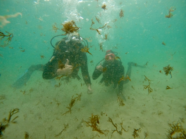 Opinión de Eva María sobre Bautismo de buceo de mar en Tarifa de 2h30min