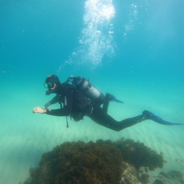 Opinión de PABLO sobre Bautismo de buceo de mar en Tarifa de 2h30min