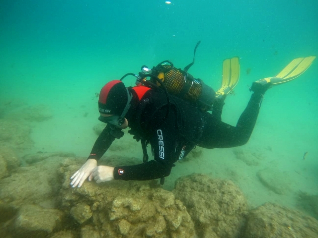 Opinión de Eva María sobre Bautismo de buceo de mar en Tarifa de 2h30min