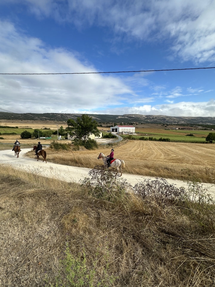 res_o-65499-_img-4833_17561110816079.jpeg res_o-65499-_img-4833_17561110816079.jpeg
