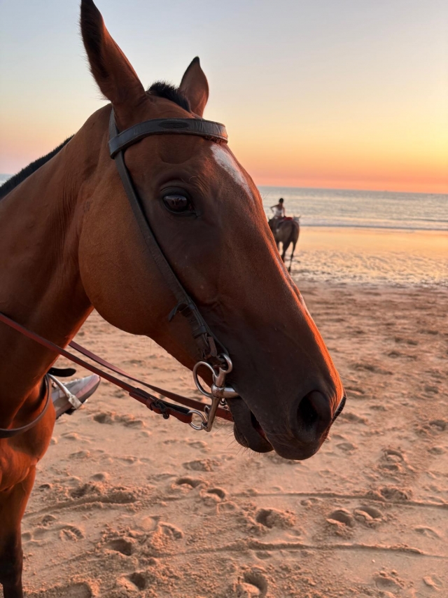 Opinión de Susana sobre Cabalgamarra al atardecer en playa Zahora, 1'5h