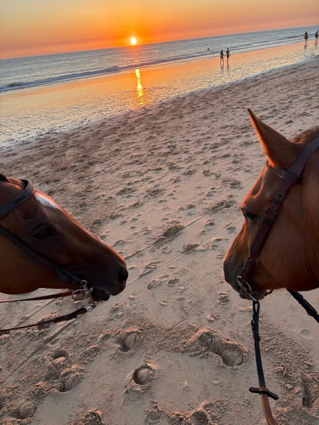 Opinión de Juan sobre Cabalgamarra al atardecer en playa Zahora, 1'5h