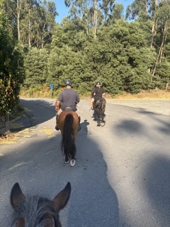 res_o-65009-rutas-a-caballo_de_stephanie-stoewer_1753435647577.jpeg