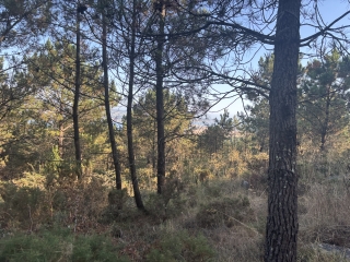 res_o-65009-rutas-a-caballo_de_stephanie-stoewer_17534356604691.jpeg