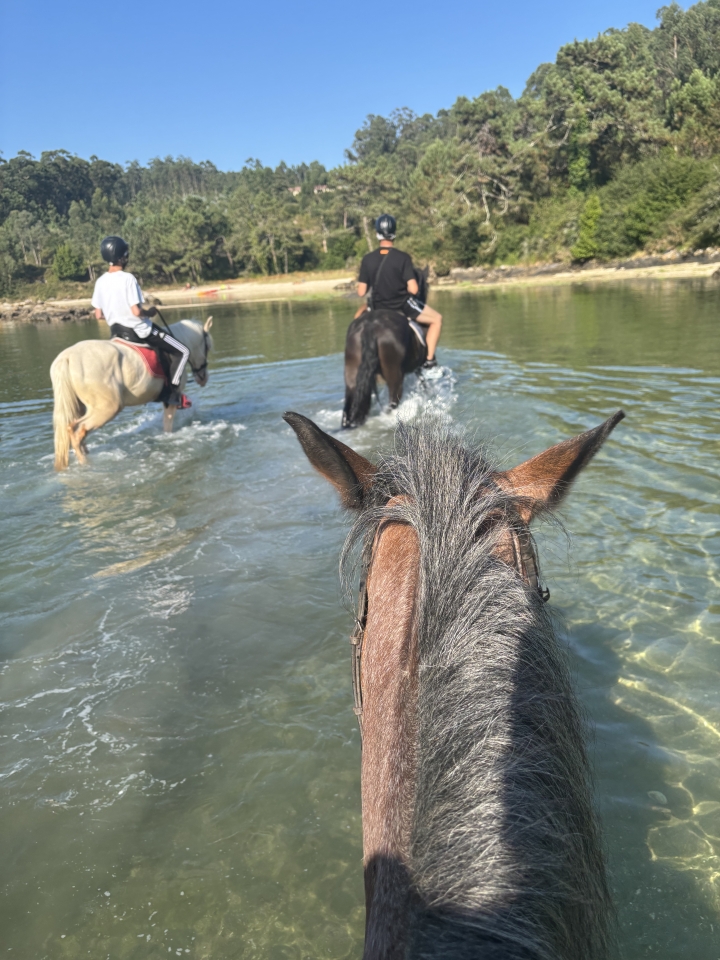 res_o-65009-rutas-a-caballo_de_stephanie-stoewer_17534356728466.jpeg