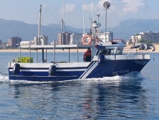 Manuel Pellón Pesca